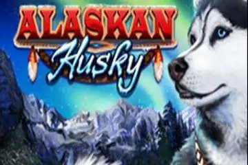 Alaskan Husky Online Casino Game