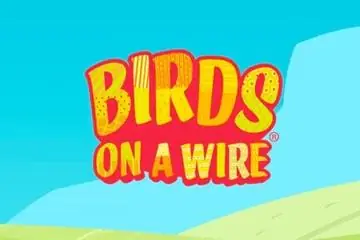 Birds On A Wire Online Casino Game