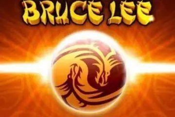 Bruce Lee Online Casino Game