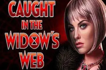 Caught in the Widow's Web Online Casino Game