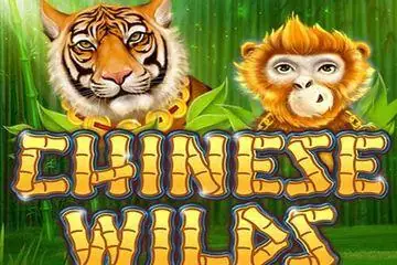 Chinese Wilds Online Casino Game