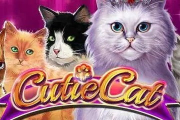 Cutie Cat Online Casino Game