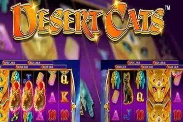 Desert Cats Online Casino Game