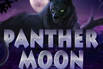 Panther Moon Online Casino Game