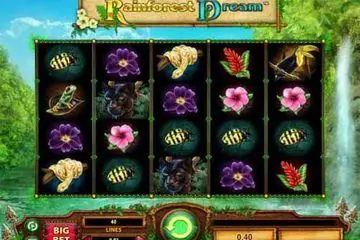 Rainforest Dream Online Casino Game