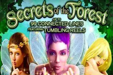 Secrets of The Forest Online Casino Game