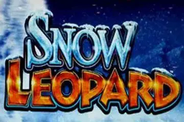 Snow Leopard Online Casino Game